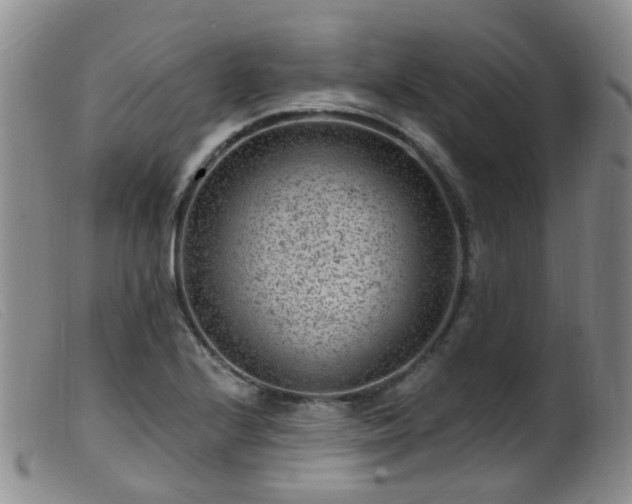 X0000099481224200805161127