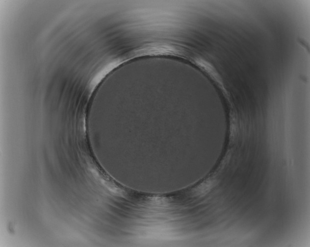 X0000099481226200805161127