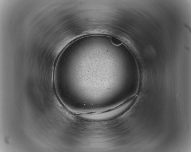 X0000099481228200805161127