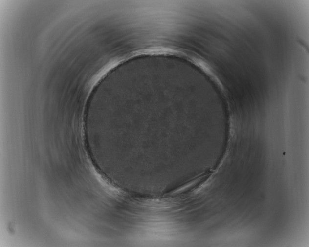 X0000099481229200805161127