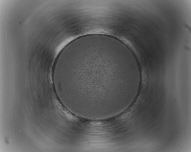 X0000099481230200805161127