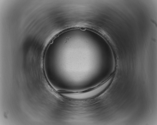 X0000099481232200805161127