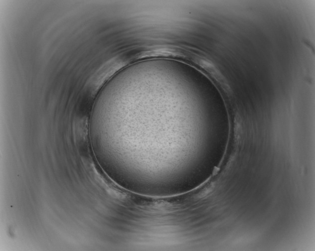 X0000099481233200805161127