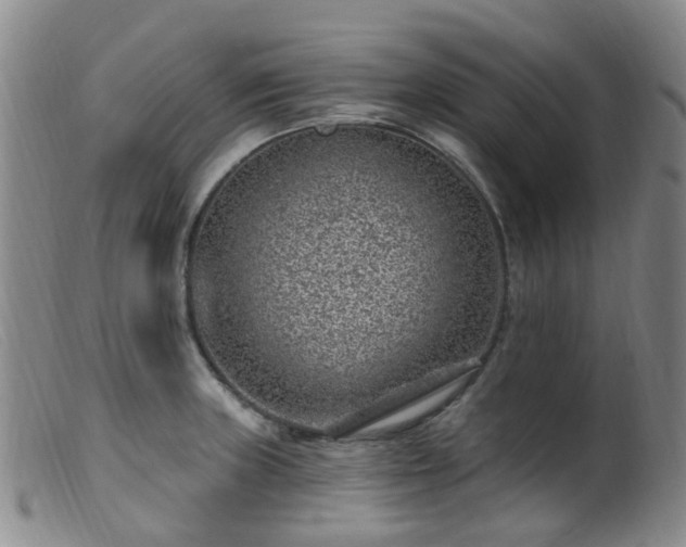 X0000099481235200805161127