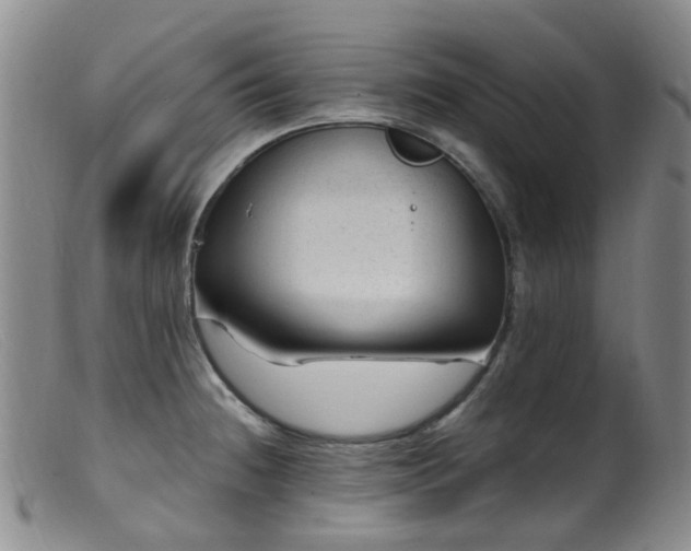 X0000099481236200805161127