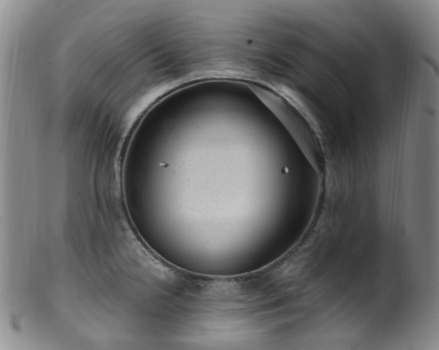 X0000099481238200805161127