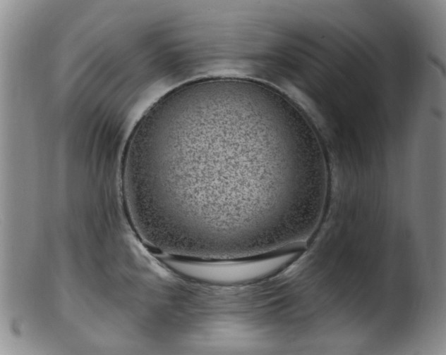 X0000099481240200805161127