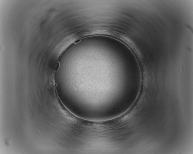 X0000099481241200805161127