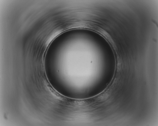 X0000099481242200805161127
