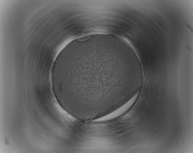 X0000099481243200805161127