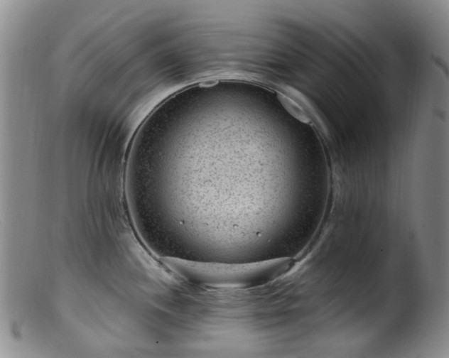 X0000099481244200805161127