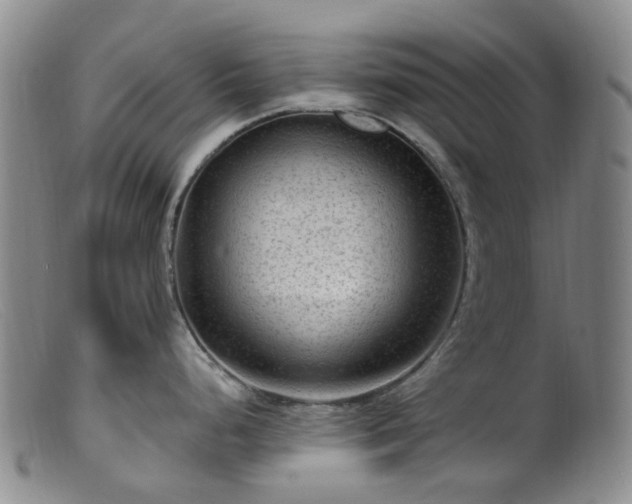 X0000099481248200805161127