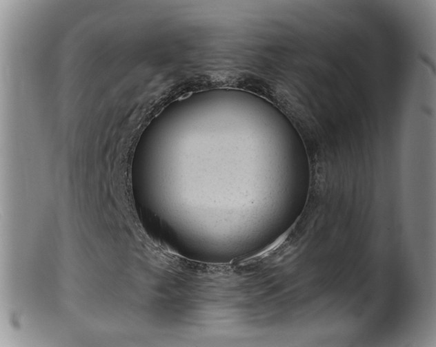 X0000099481249200805161126