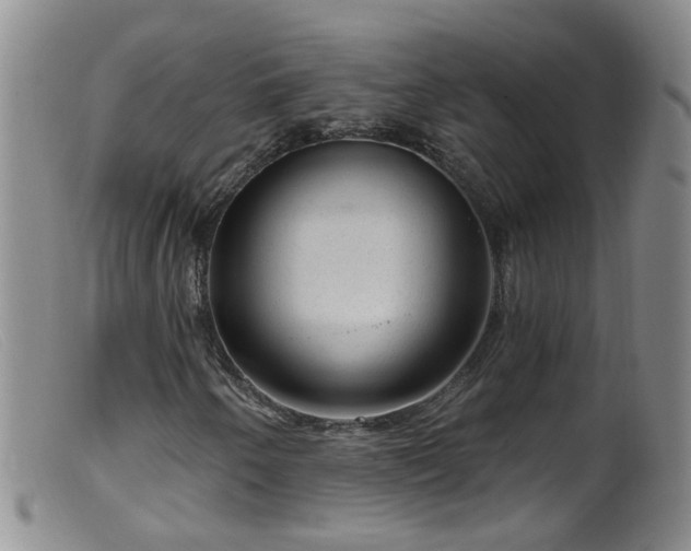 X0000099481250200805161126