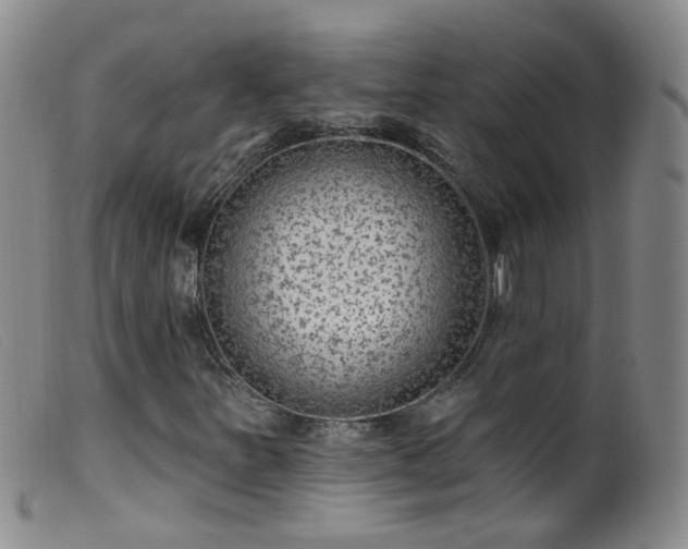 X0000099481251200805161126