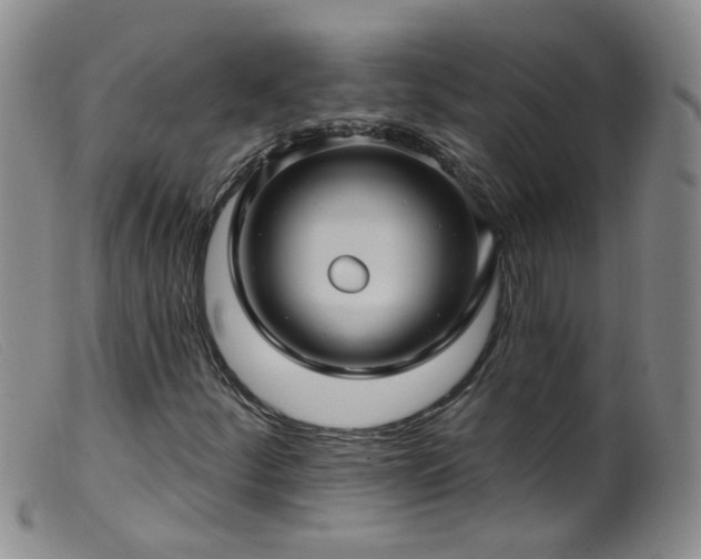 X0000099481252200805161126