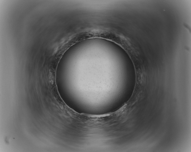 X0000099481253200805161126