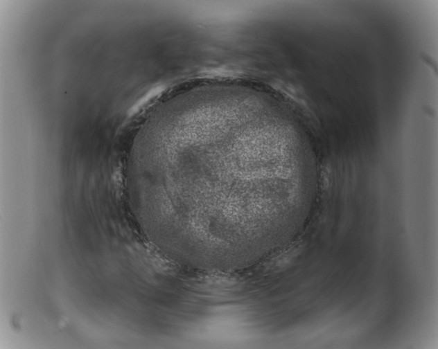 X0000099481254200805161126