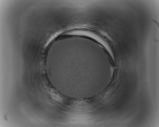 X0000099481256200805161126