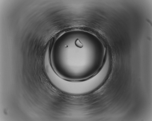 X0000099481257200805161126