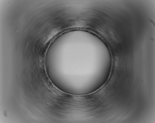 X0000099481258200805161126