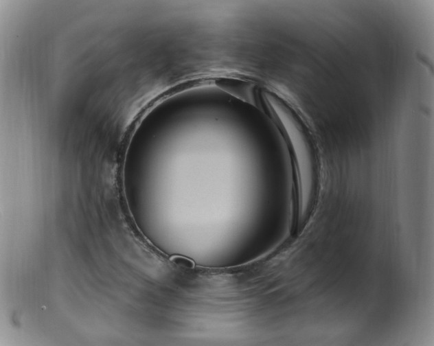 X0000099481260200805161126