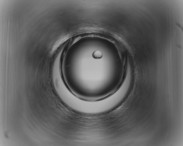 X0000099481261200805161126