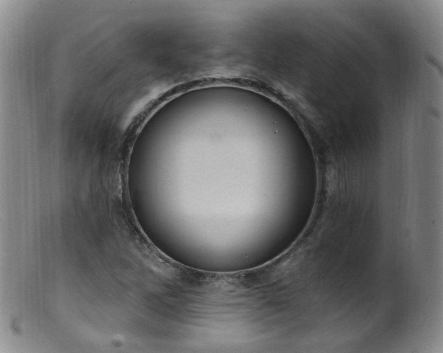 X0000099481262200805161126