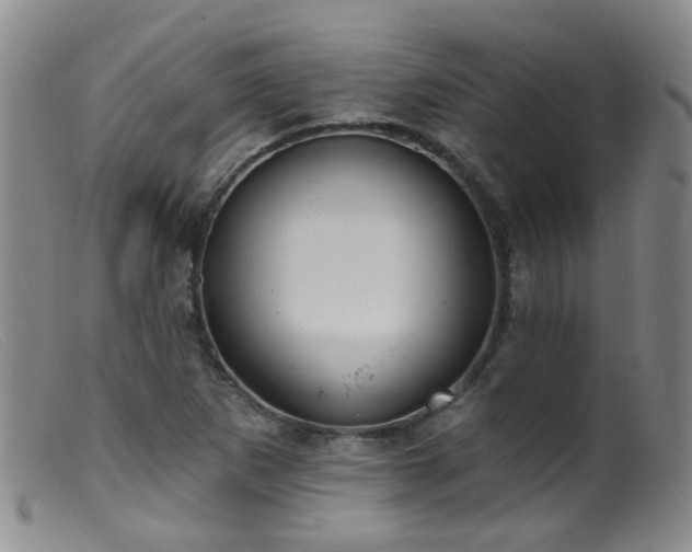 X0000099481265200805161126