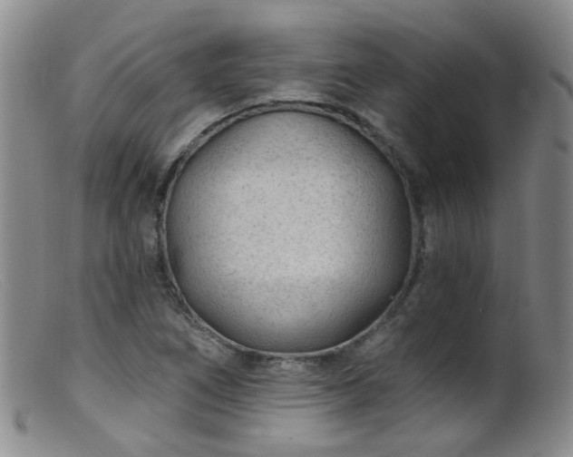 X0000099481266200805161126