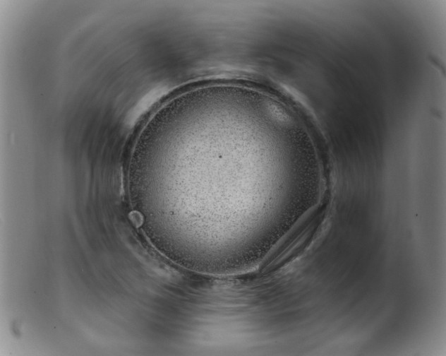 X0000099481267200805161126