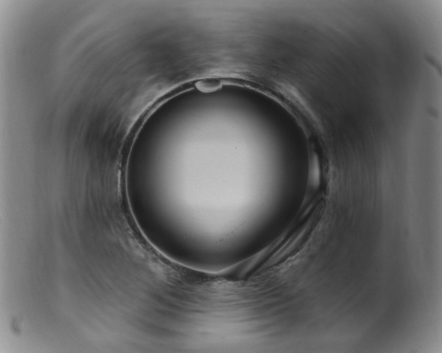 X0000099481268200805161126