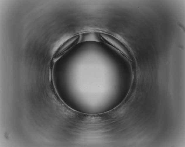 X0000099481269200805161126