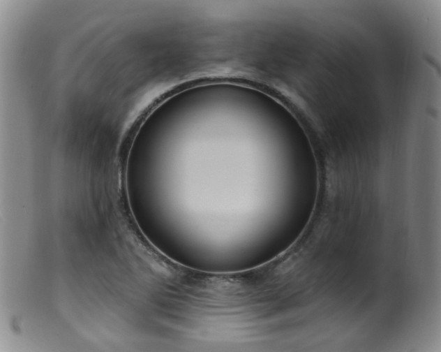 X0000099481270200805161126