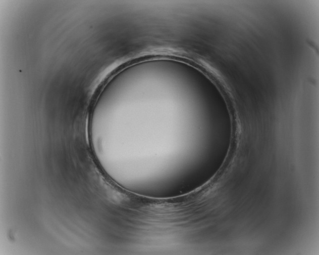 X0000099481272200805161126