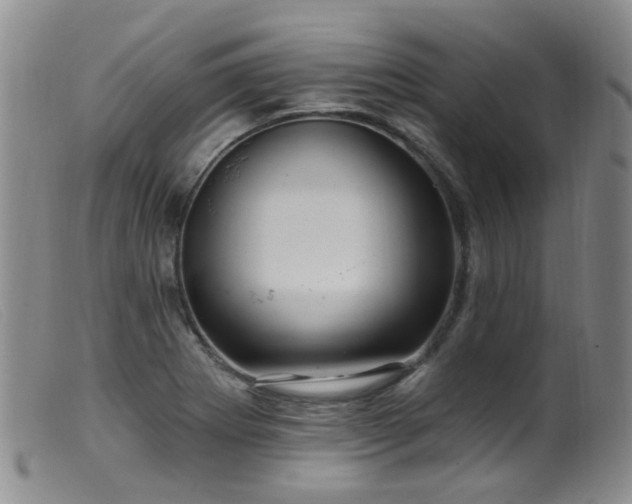 X0000099481273200805161126