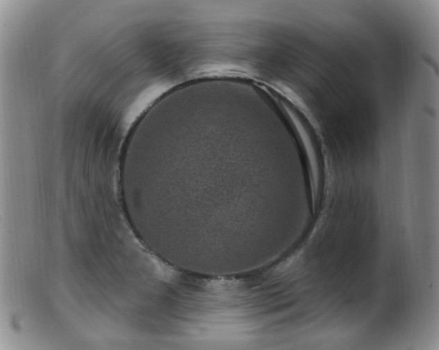 X0000099481277200805161126