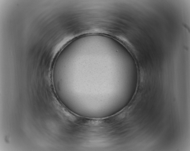 X0000099481278200805161126