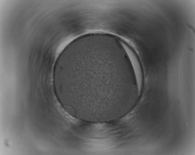 X0000099481279200805161126