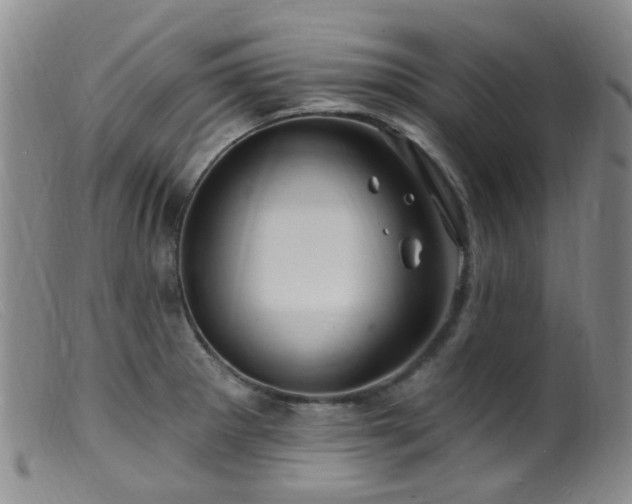 X0000099481281200805161126