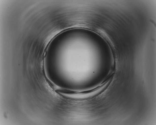 X0000099481284200805161126