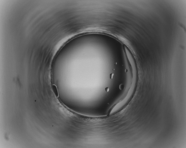 X0000099481288200805161126