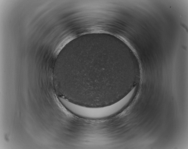 X0000099481289200805161126