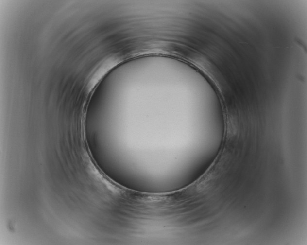 X0000099481290200805161126