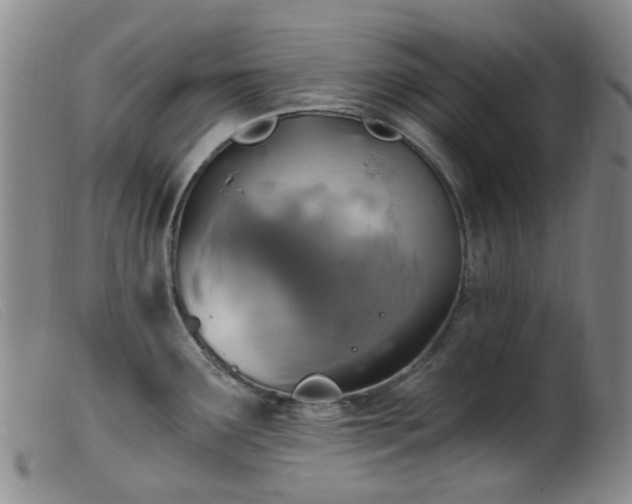X0000099481291200805161126