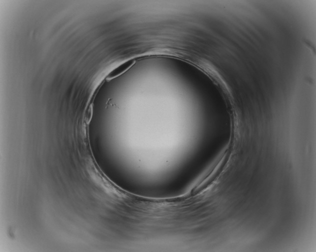 X0000099481292200805161126