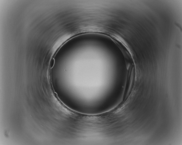 X0000099481293200805161126