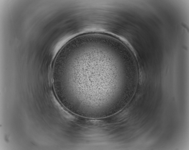 X0000099481295200805161126