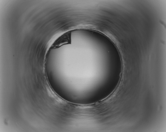 X0000099481296200805161126
