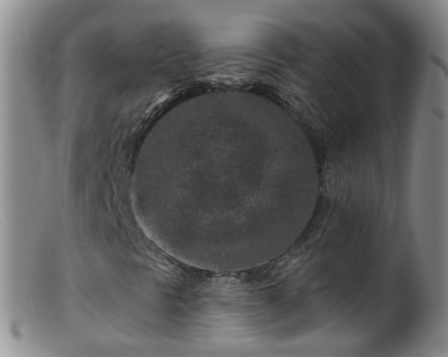 X0000099481297200805161125